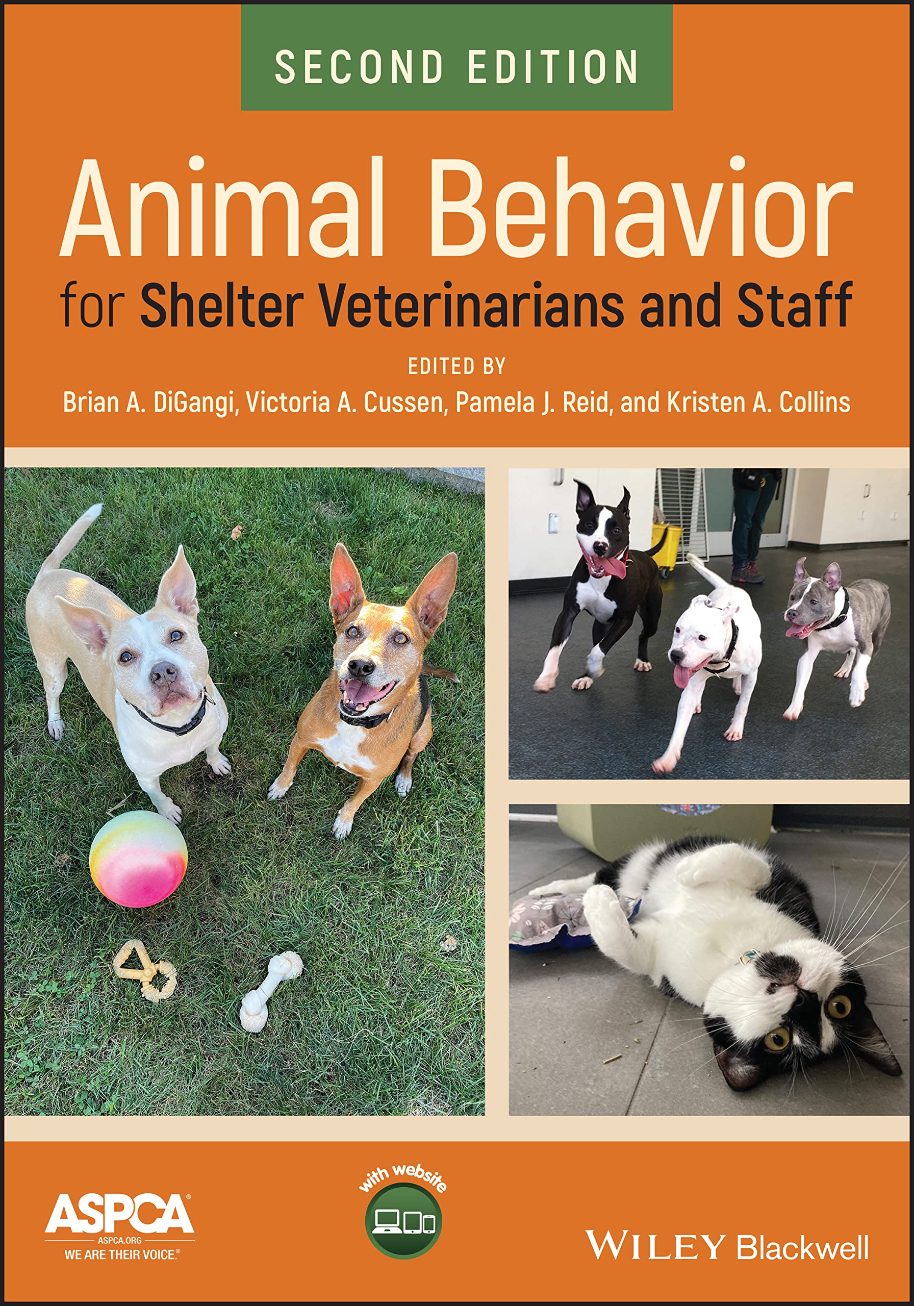 Cover of Animal Behavior for Shelter Veterinarians and Staff