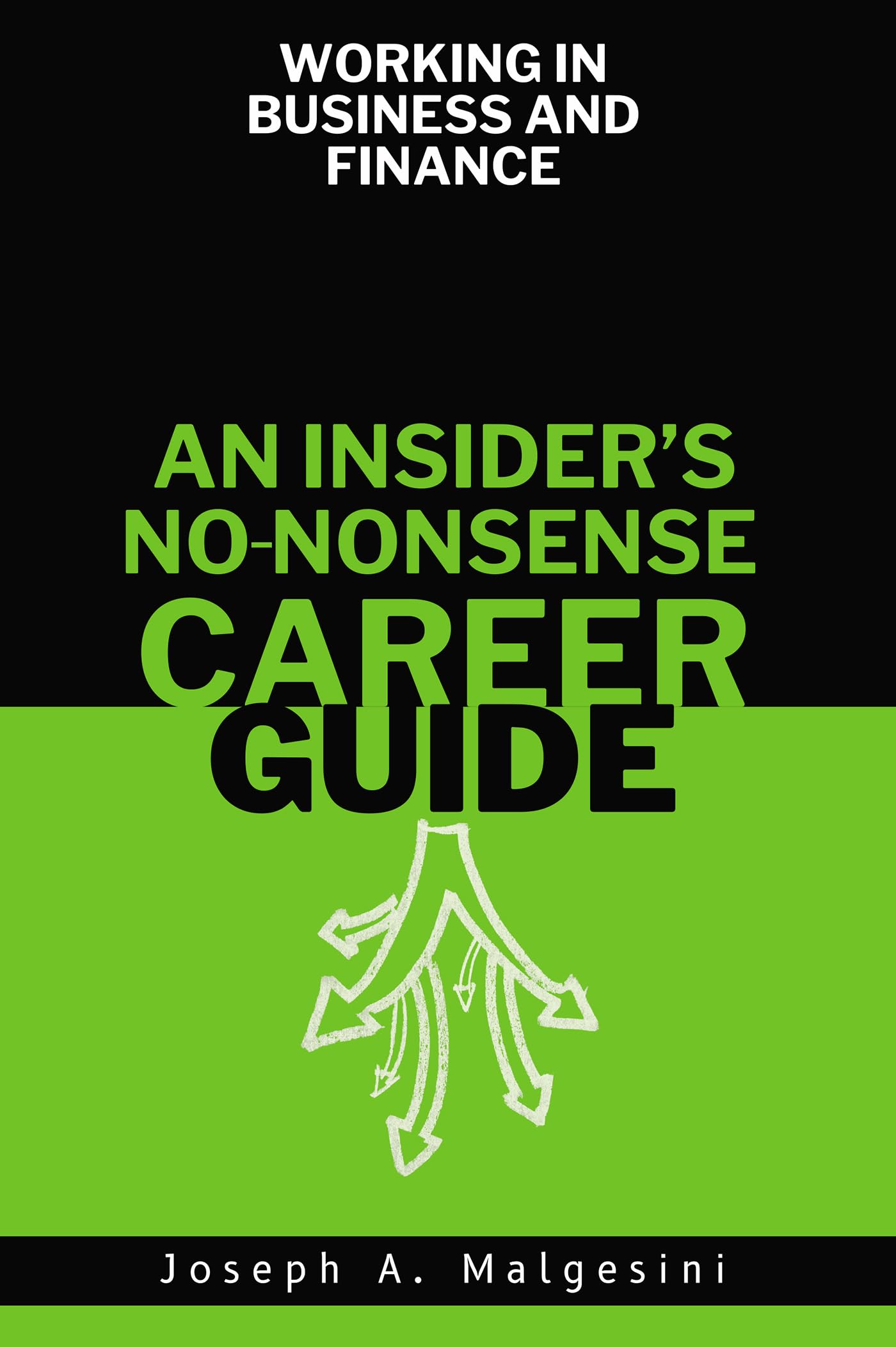 Cover of Working in Business and Finance: An Insider’s No-Nonsense Career Guide