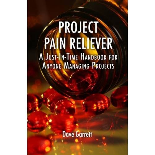 Cover of Project Pain Reliever: A Just-In-Time Handbook for Anyone Managing Projects