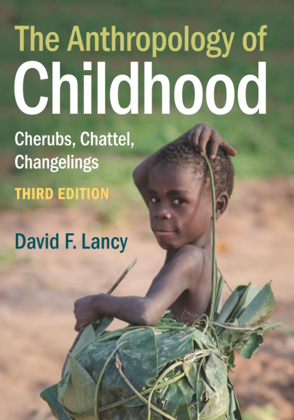 Cover of The Anthropology of Childhood