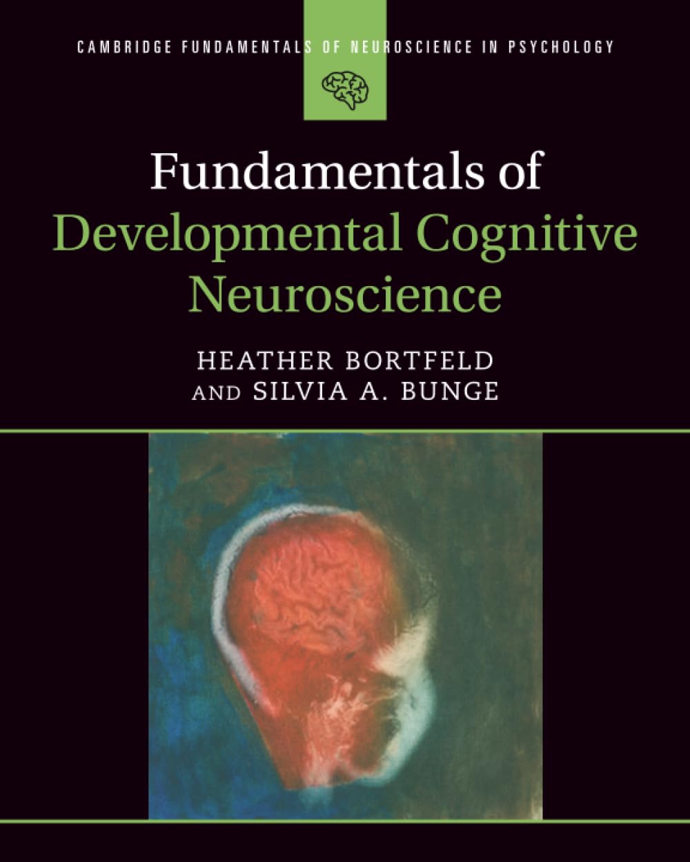 Cover of Fundamentals of Developmental Cognitive Neuroscience (Cambridge Fundamentals of Neuroscience in Psychology)