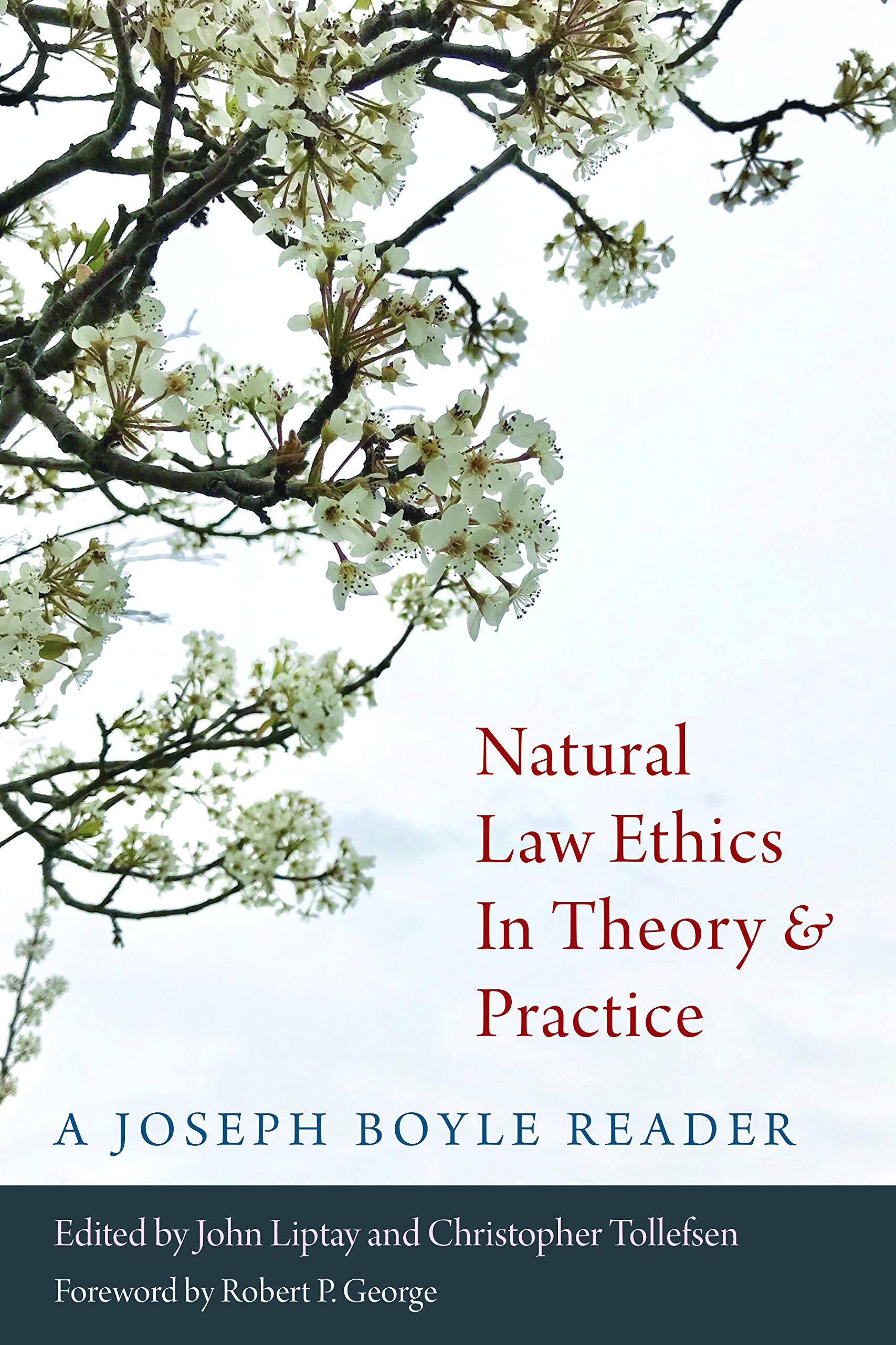 Cover of Natural Law Ethics in Theory and Practice: A Joseph Boyle Reader