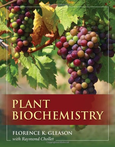 Cover of Plant Biochemistry