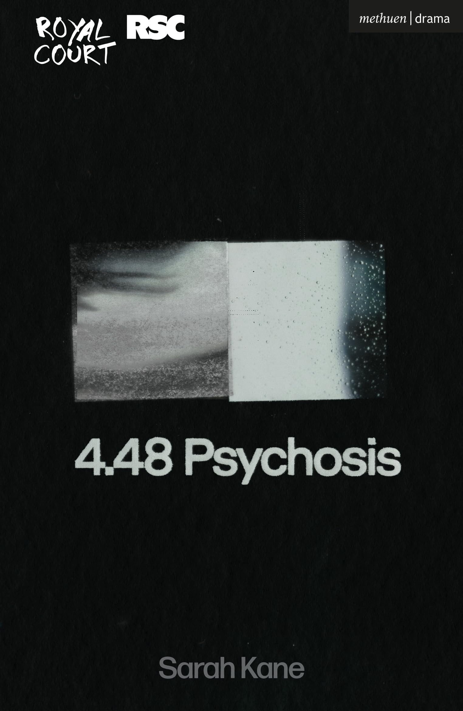 Cover of 4.48 Psychosis (Modern Plays)