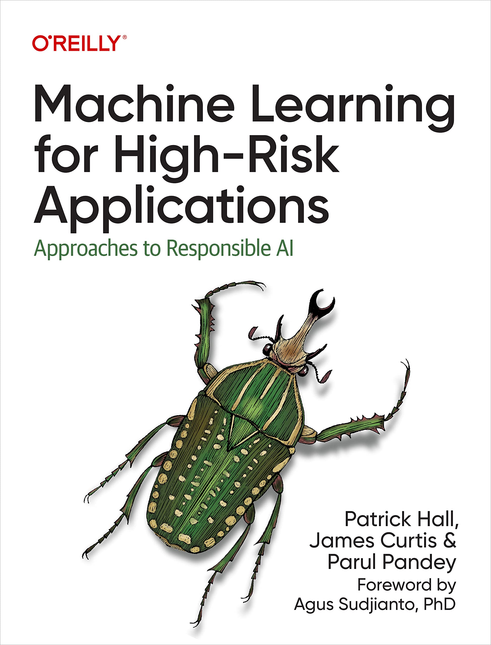 Cover of Machine Learning for High-Risk Applications: Approaches to Responsible AI