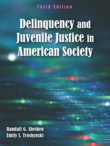 Cover of Delinquency and Juvenile Justice in American Society, Third Edition