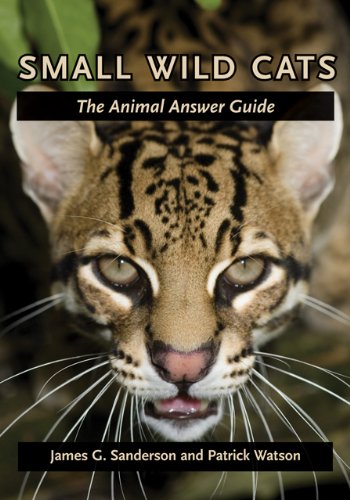 Cover of Small Wild Cats: The Animal Answer Guide (The Animal Answer Guides: Q&A for the Curious Naturalist)