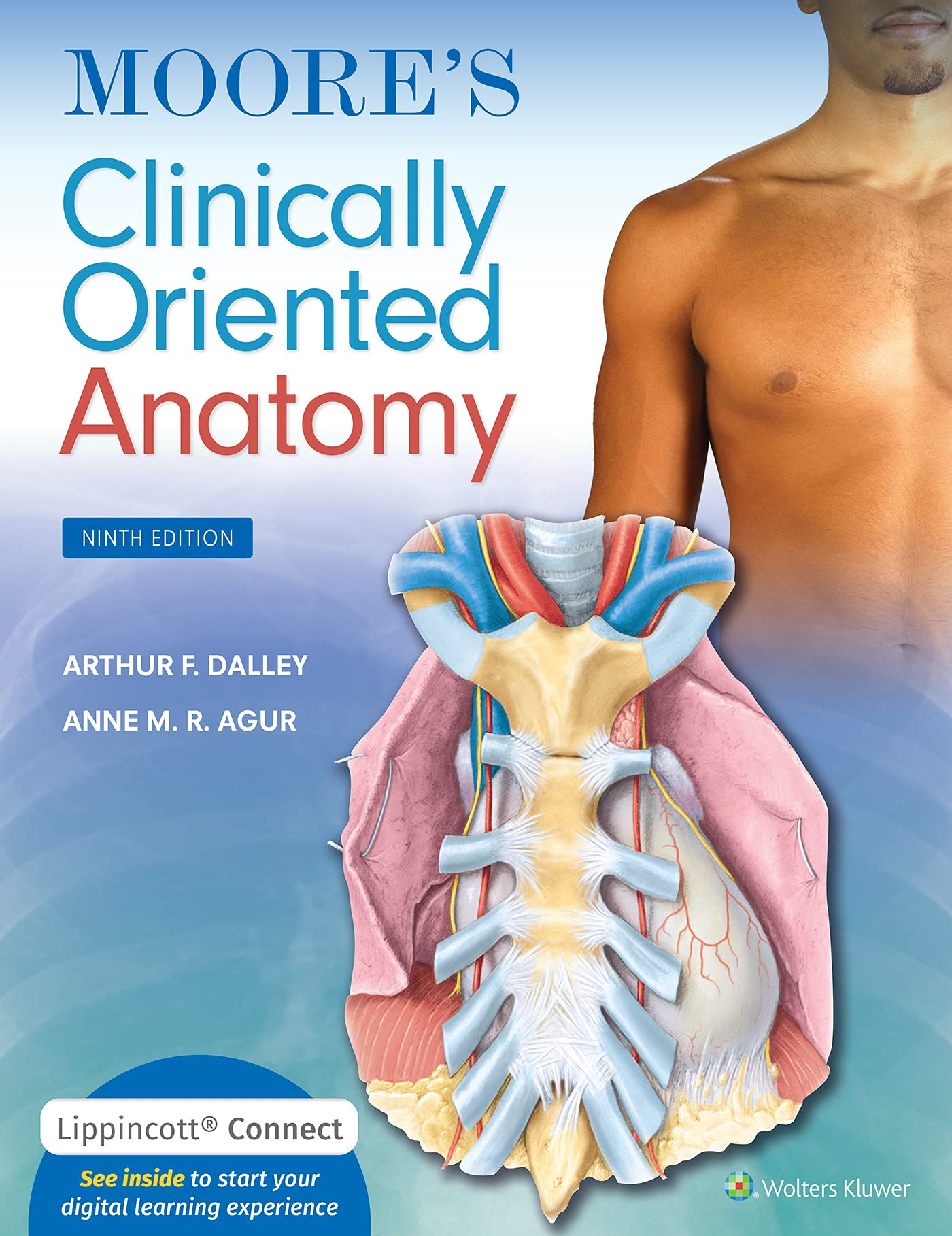Cover of Moore's Clinically Oriented Anatomy