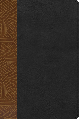 Cover of Rvr 1960 Biblia de Estudio Arcoiris, Tostado/Negro S�mil Piel