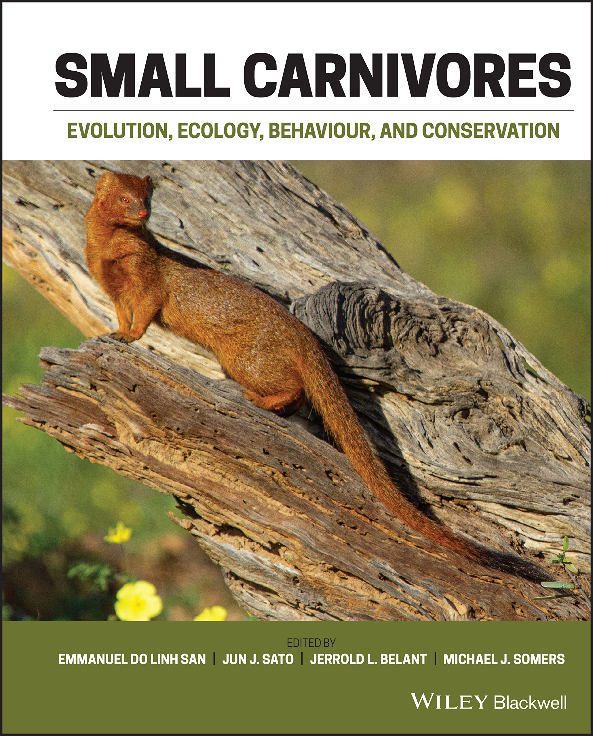 Cover of Small Carnivores: Evolution, Ecology, Behaviour and Conservation