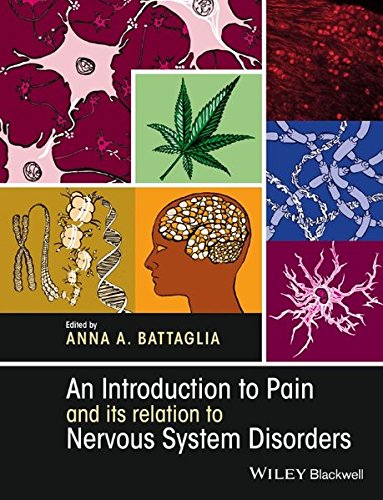 Cover of An Introduction to Pain and its relation to Nervous System Disorders