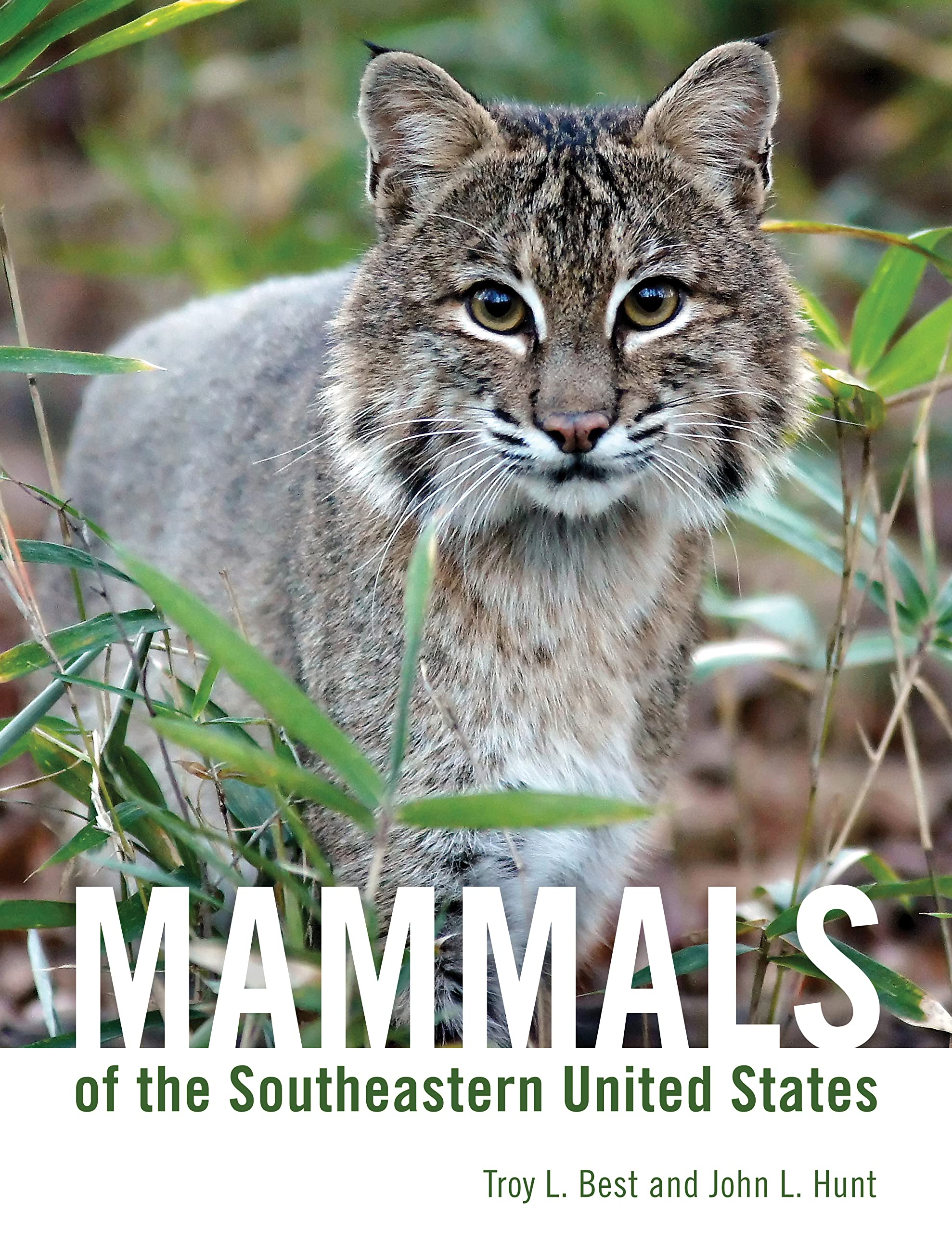 Cover of Mammals of the Southeastern United States