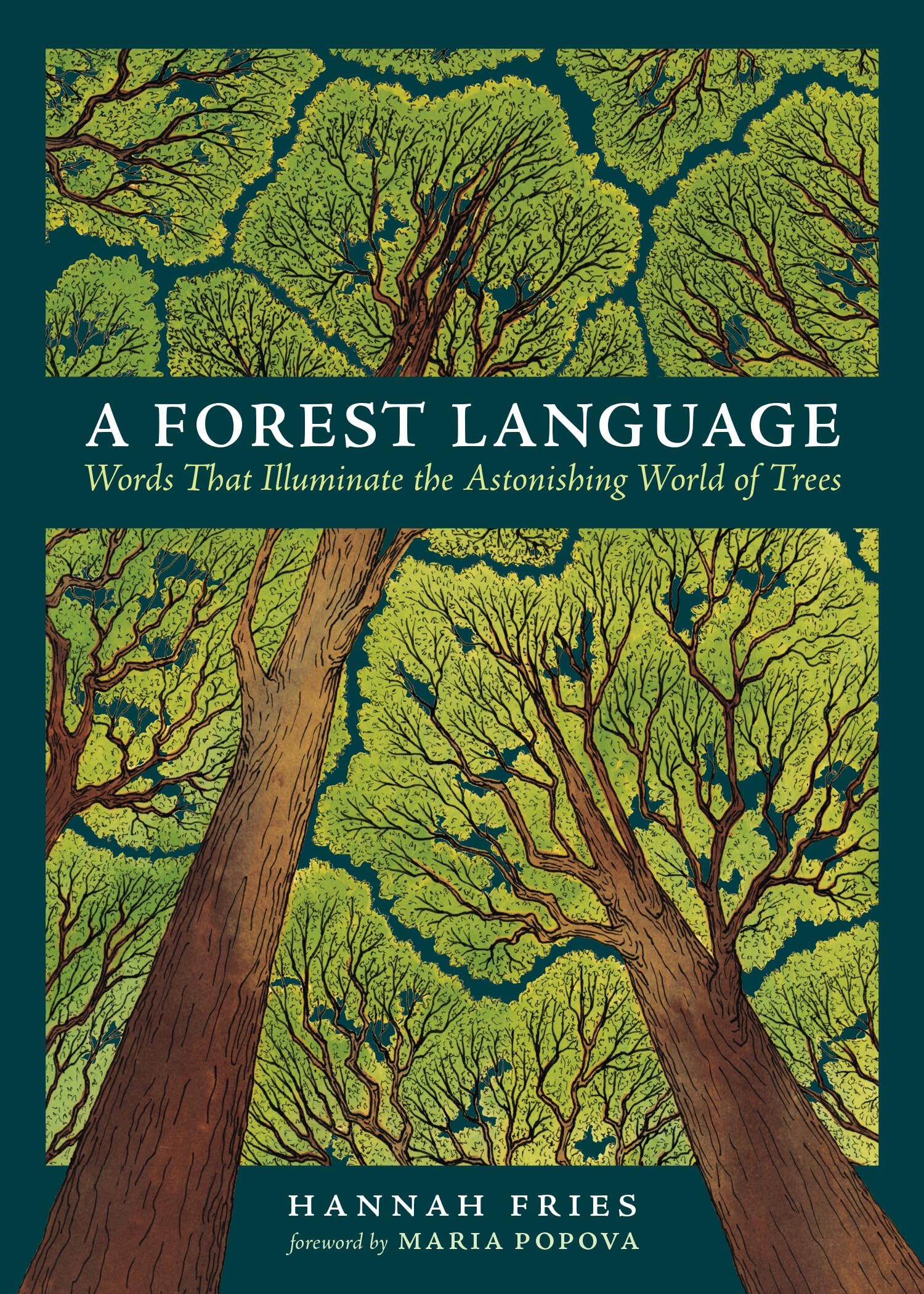 Cover of A Forest Language: Words That Illuminate the Astonishing World of Trees