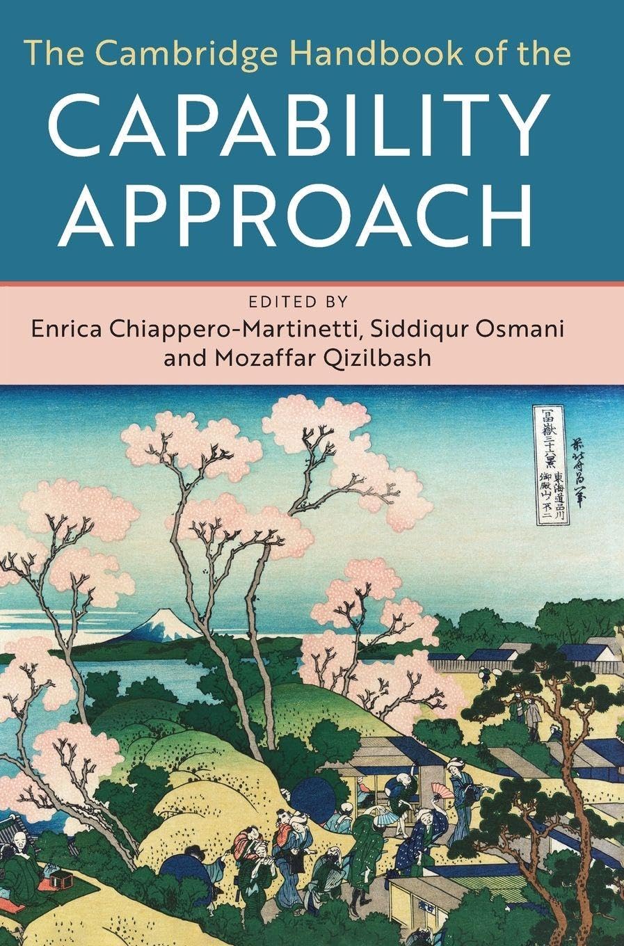 Cover of The Cambridge Handbook of the Capability Approach