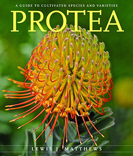 Cover of Protea: A Guide to Cultivated Species and Varieties