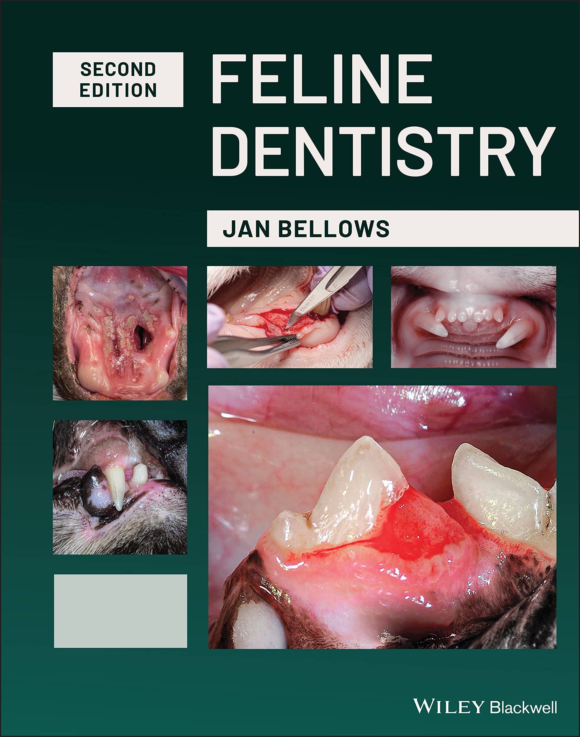 Cover of Feline Dentistry