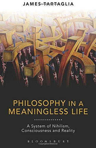 Cover of Philosophy in a Meaningless Life: A System of Nihilism, Consciousness and Reality