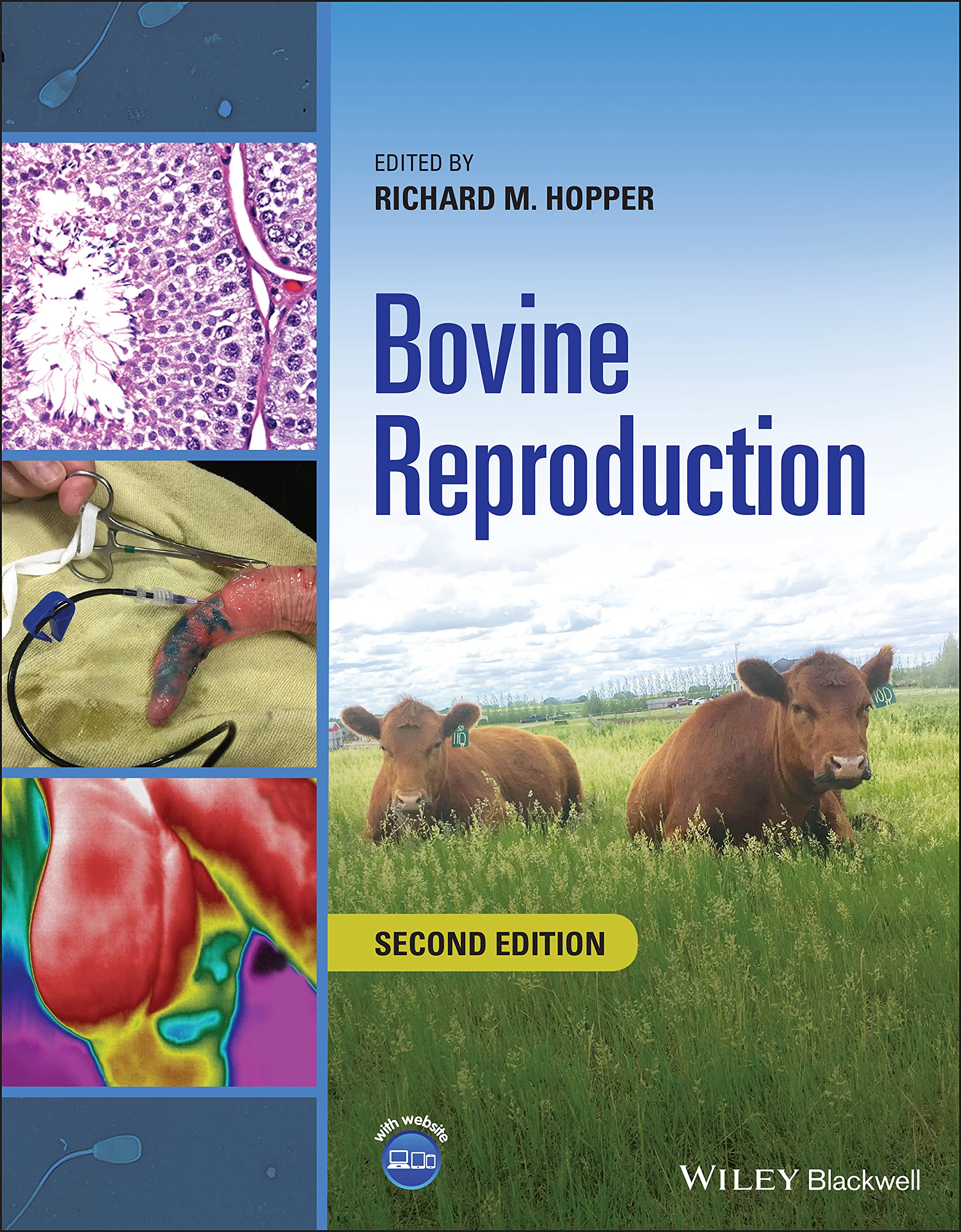 Cover of Bovine Reproduction