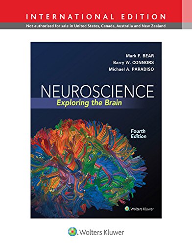 Cover of Neuroscience: Exploring the Brain