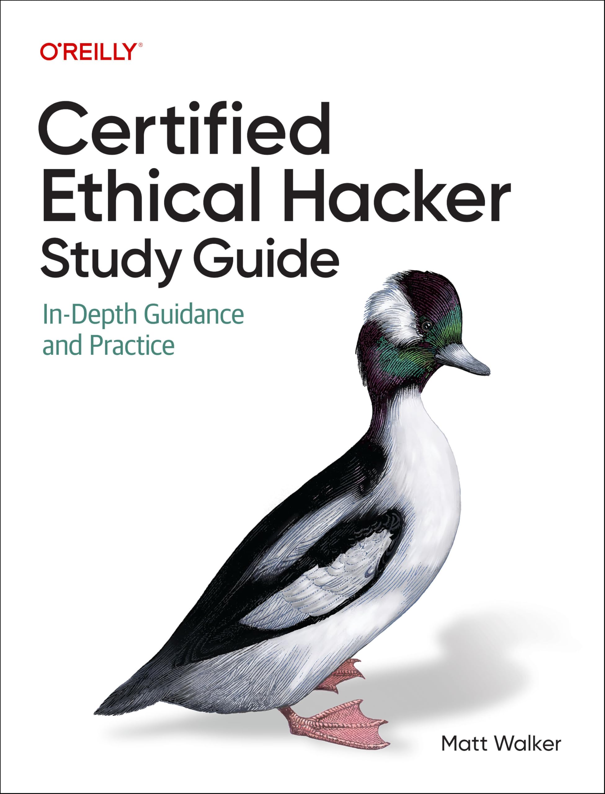 Cover of Certified Ethical Hacker (CEH) Study Guide: In-Depth Guidance and Practice