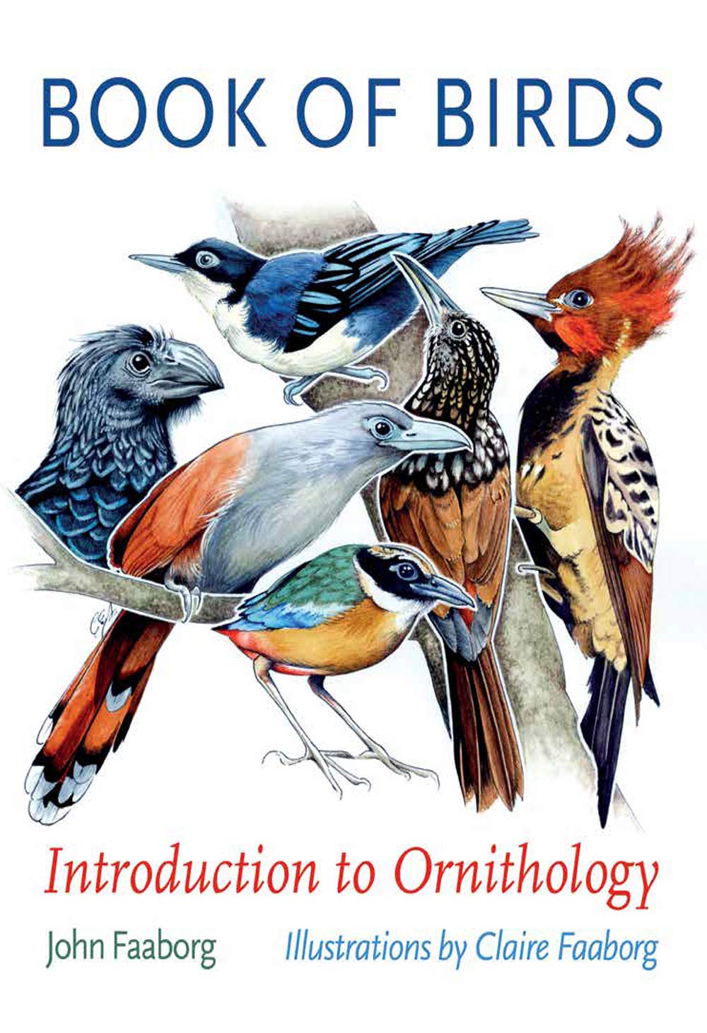 Cover of Book of Birds: Introduction to Ornithology (Gideon Lincecum Nature and Environment Series)