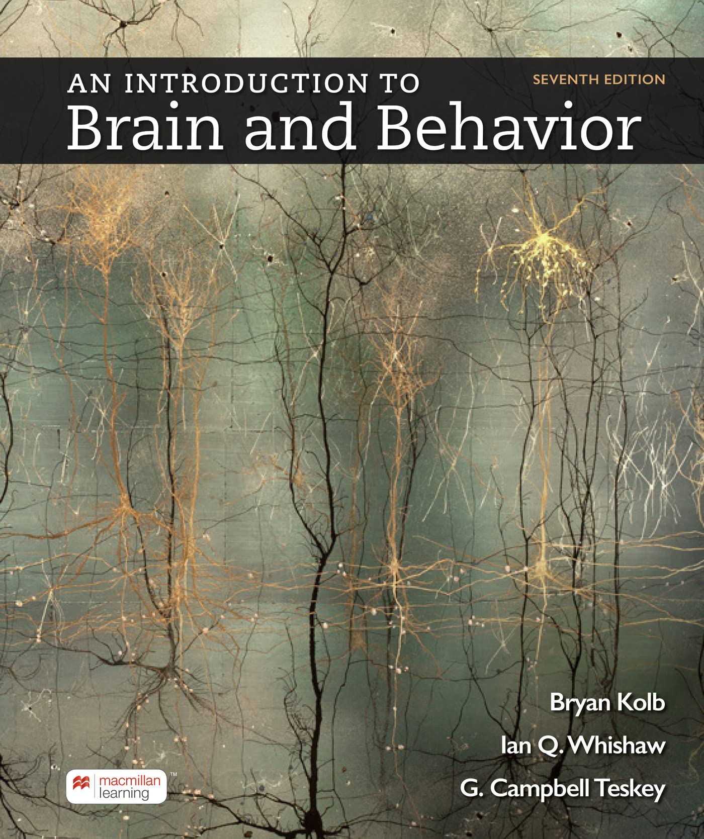 Cover of Loose-Leaf Version for An Introduction to Brain and Behavior