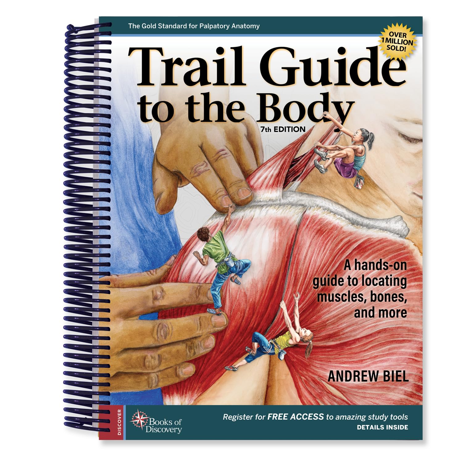 Cover of Trail Guide to the Body: A hands-on guide to locating muscles, bones, and more,7th Edition