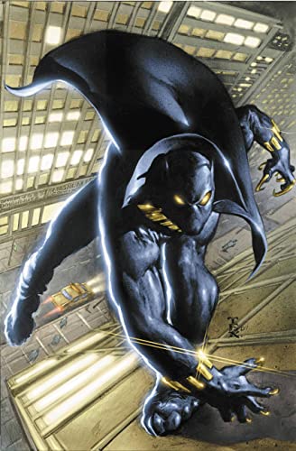 Cover of Black Panther By Christopher Priest Omnibus Vol. 1 (Black Panther Omnibus, 1)