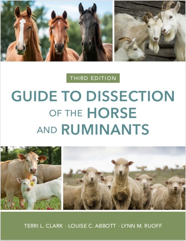 Cover of Guide to Dissection of the Horse and Ruminants, 3rd Edition