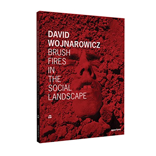 Cover of David Wojnarowicz: Brush Fires in the Social Landscape: Twentieth Anniversary Edition (Revised)