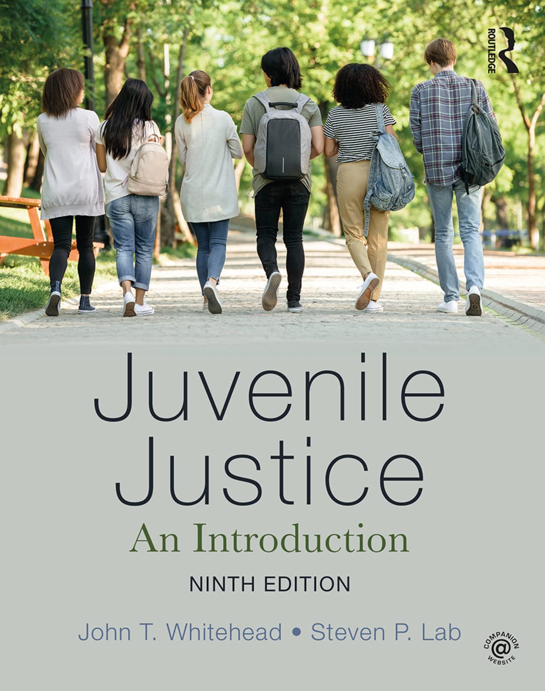 Cover of Juvenile Justice: An Introduction