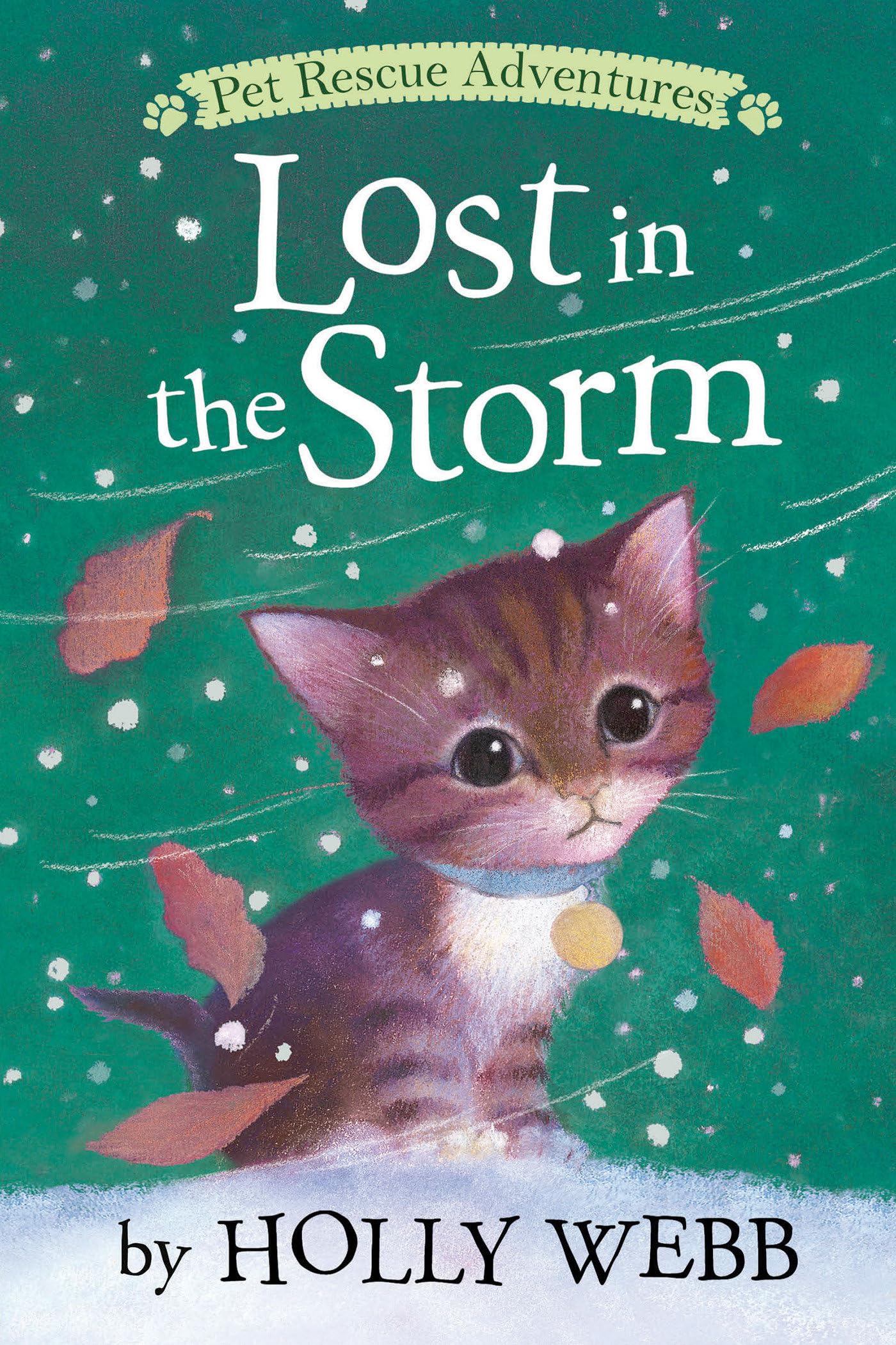 Cover of Lost in the Storm (Pet Rescue Adventures)