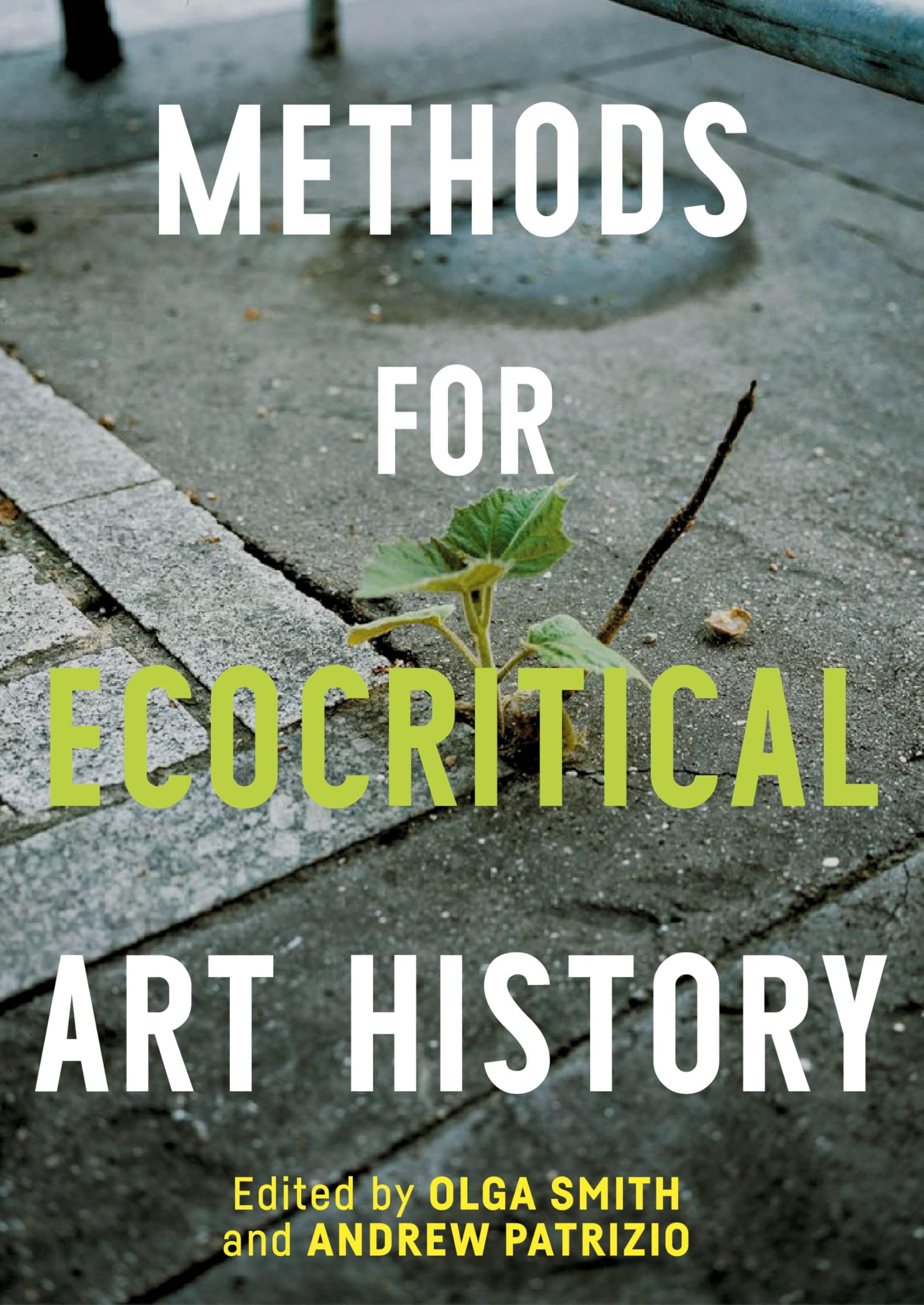 Cover of Methods for Ecocritical Art History