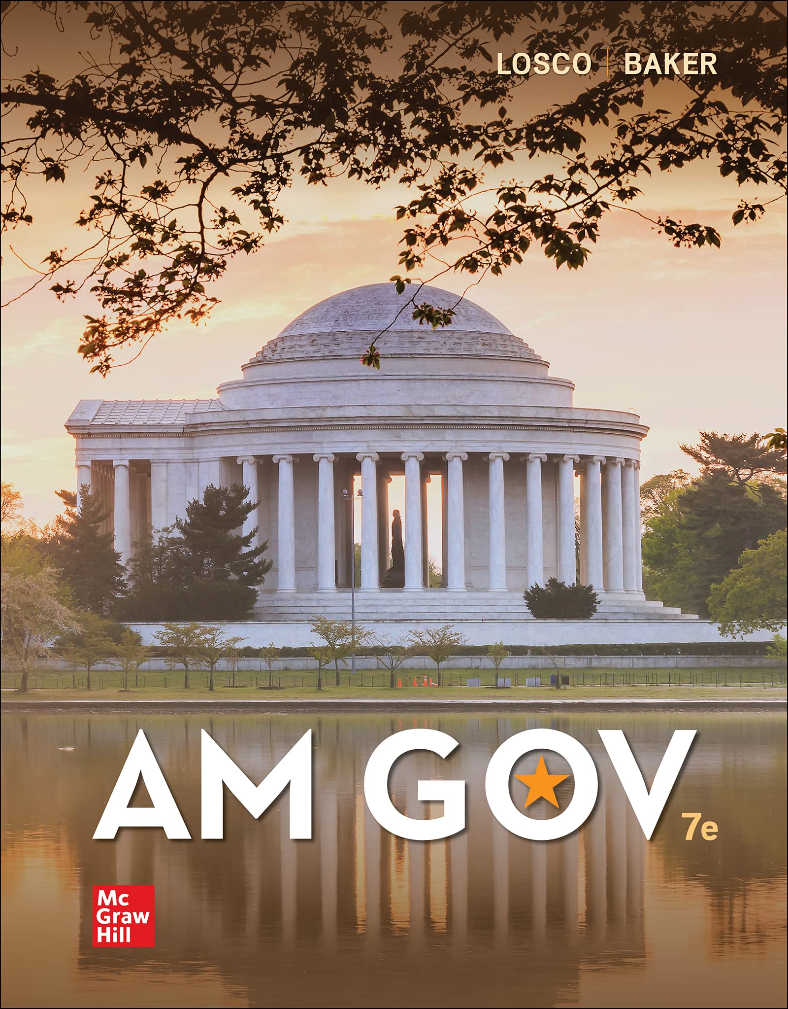 Cover of AM GOV