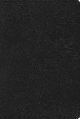 Cover of Rvr 1960 Biblia de Estudio Arcoiris, Negro S�mil Piel Con �ndice