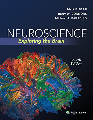 Cover of Neuroscience: Exploring the Brain