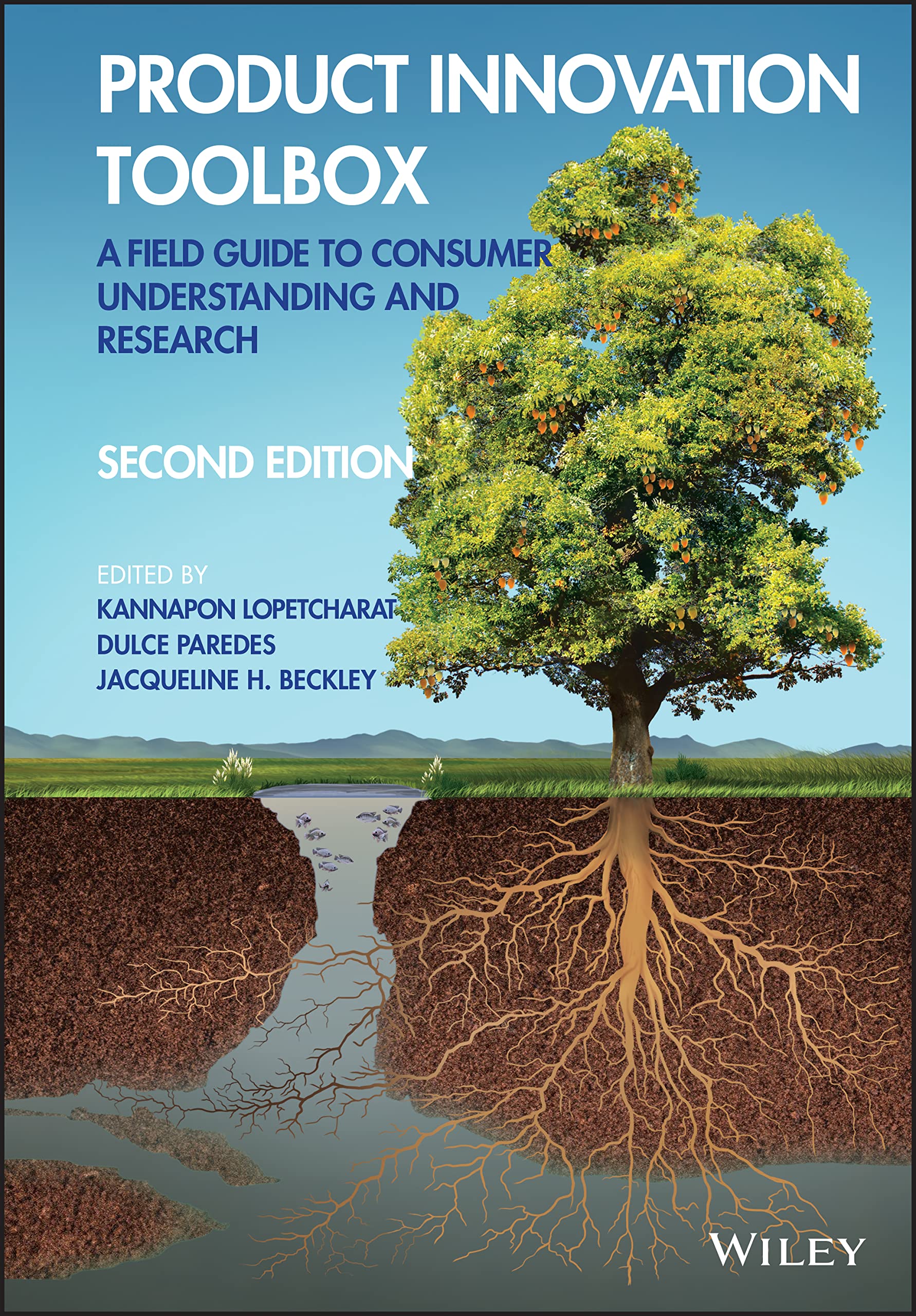 Cover of Product Innovation Toolbox: A Field Guide to Consumer Understanding and Research