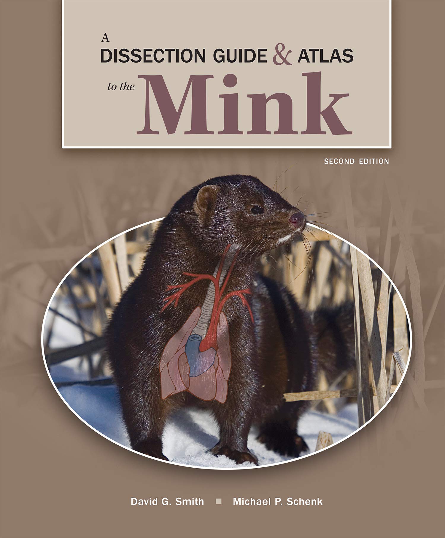 Cover of A Dissection Guide & Atlas to the Rat