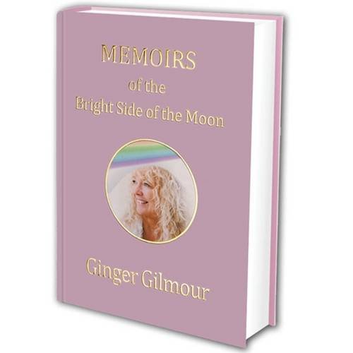 Cover of Memoirs of the Bright Side of the Moon