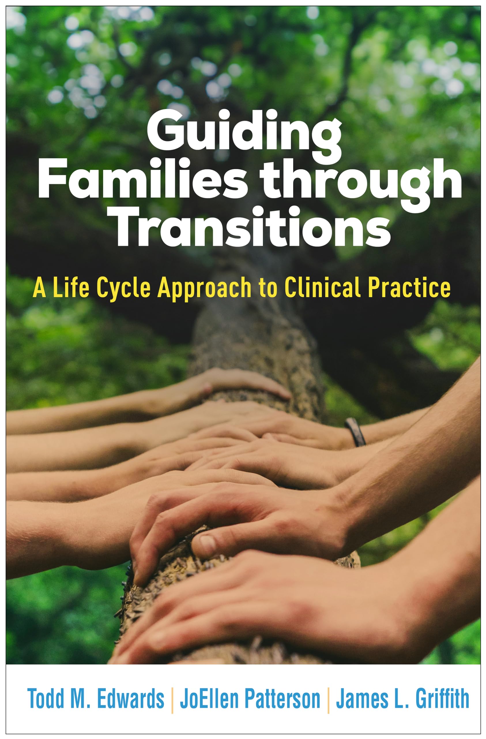 Cover of Guiding Families through Transitions: A Life Cycle Approach to Clinical Practice