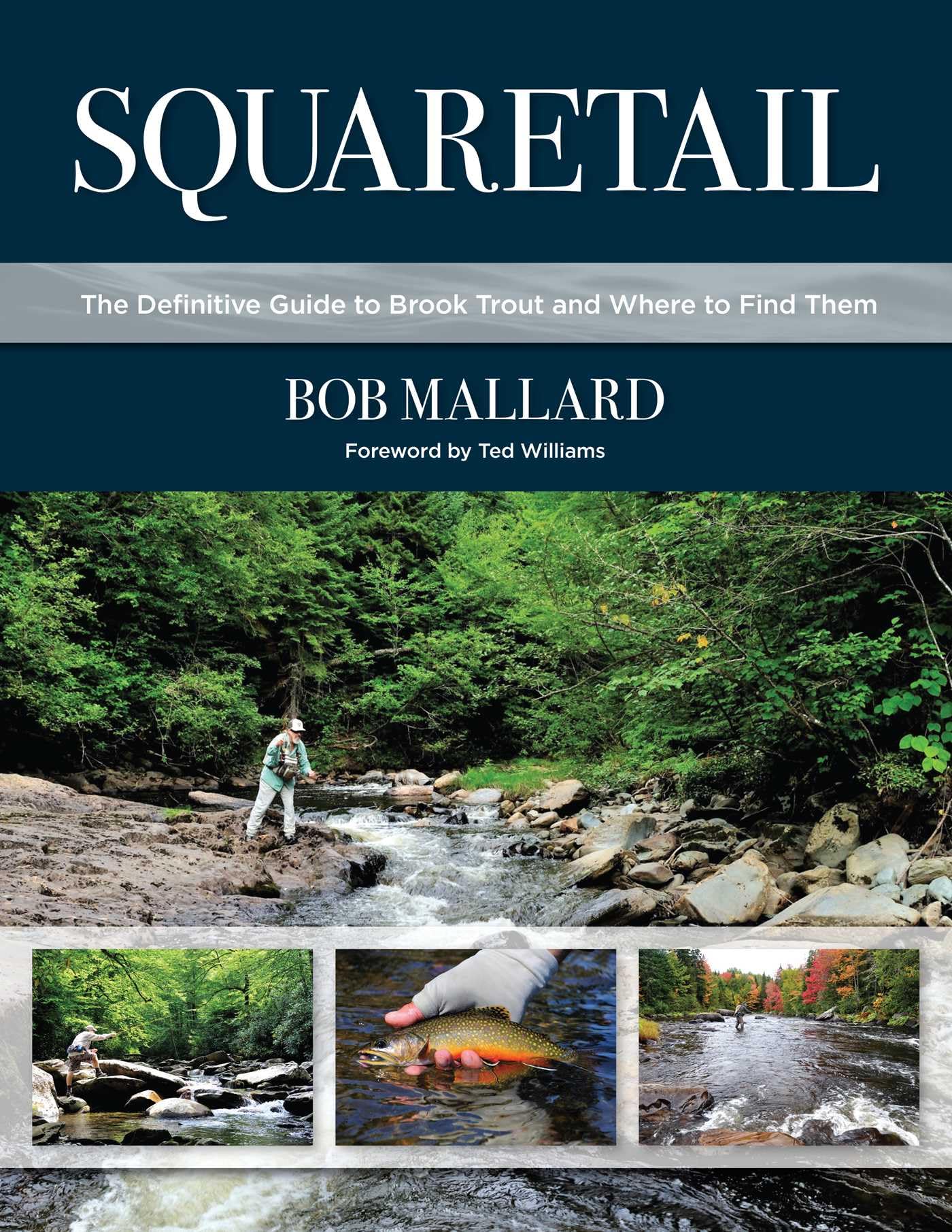 Cover of Squaretail: The Definitive Guide to Brook Trout and Where to Find Them