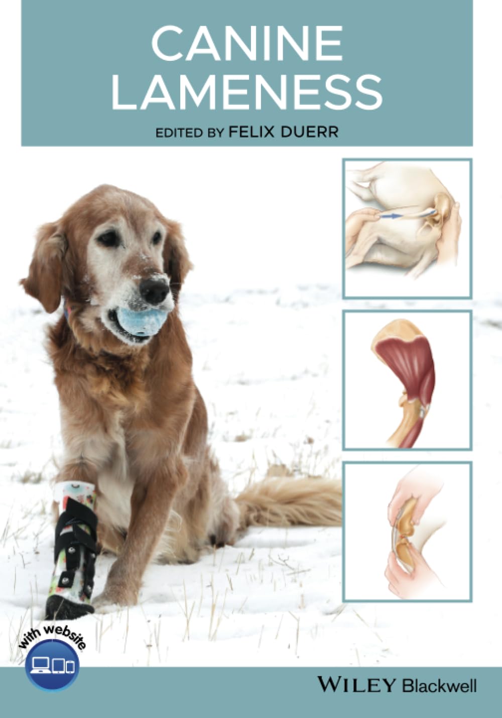 Cover of Canine Lameness