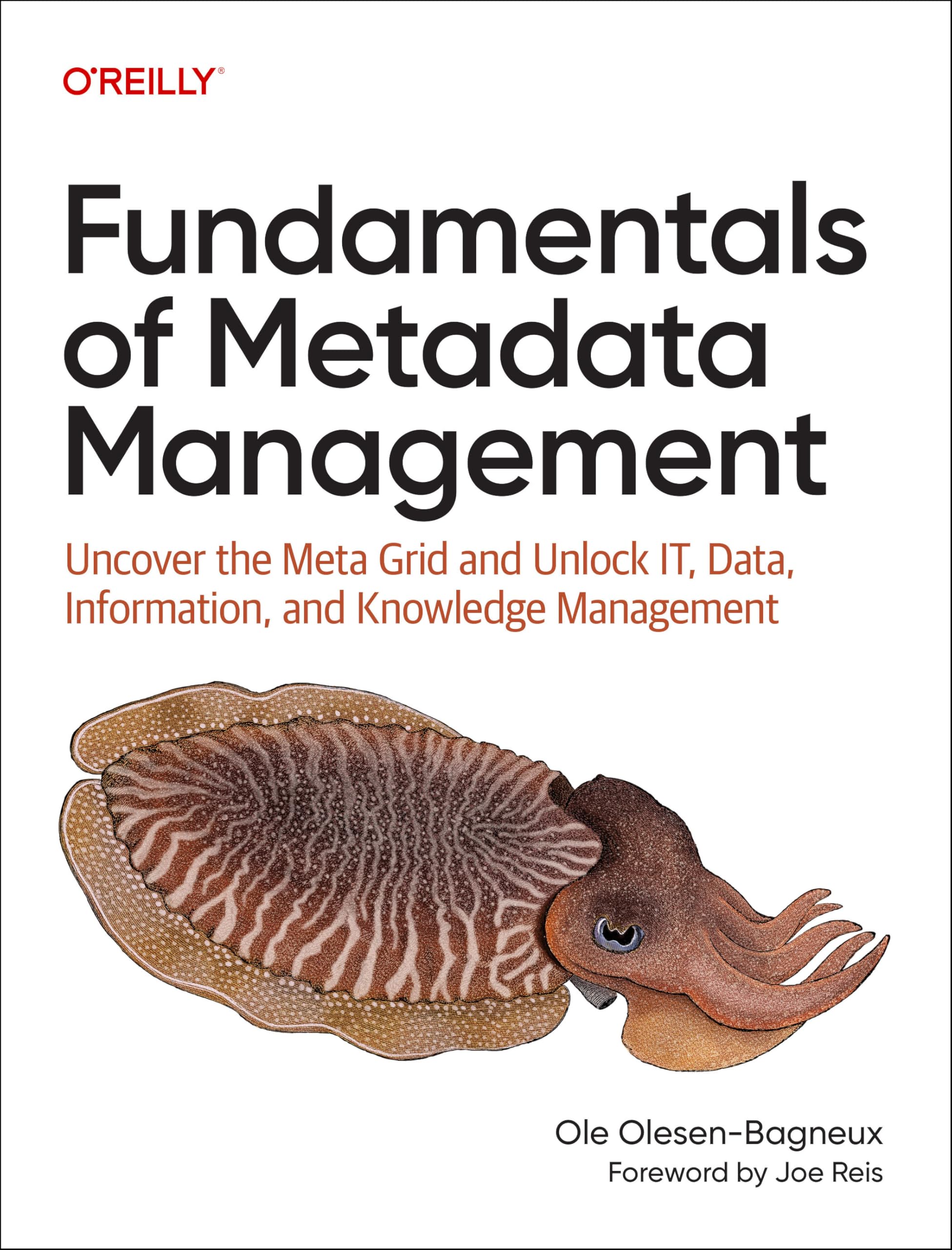 Cover of Fundamentals of Metadata Management: Uncover the Meta Grid and Unlock IT, Data, Information, and Knowledge Management
