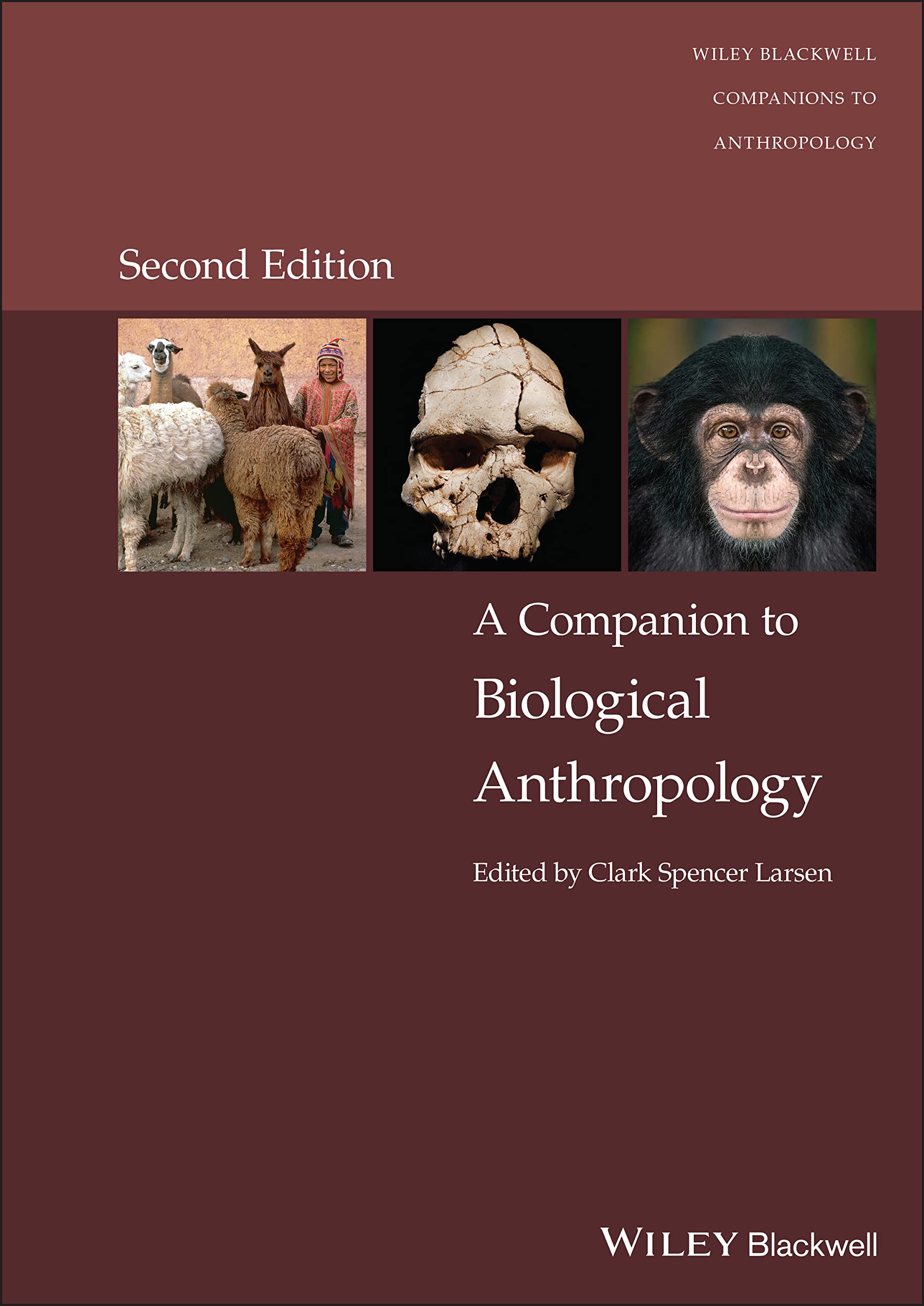 Cover of A Companion to Biological Anthropology (Wiley Blackwell Companions to Anthropology)