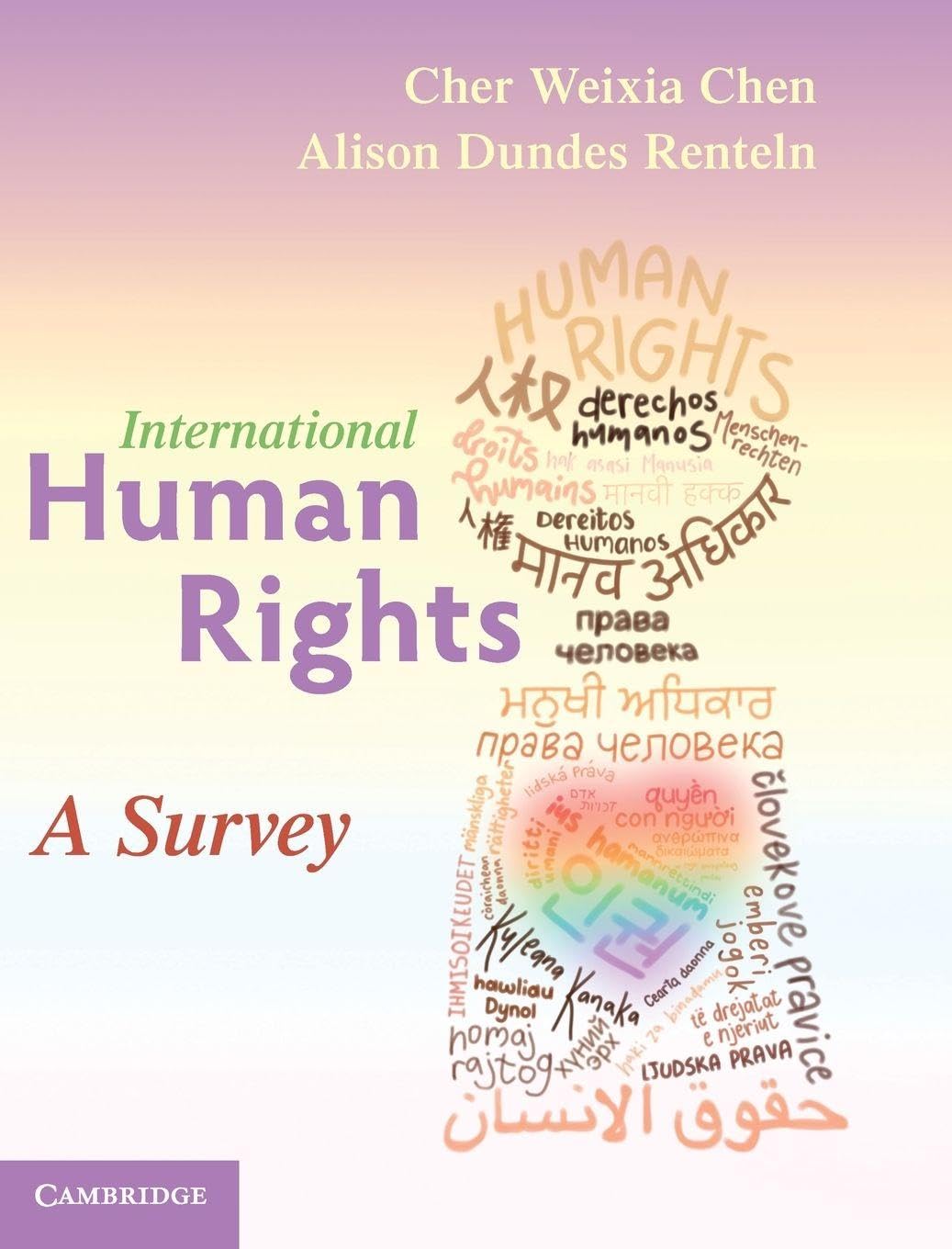 Cover of International Human Rights: A Survey