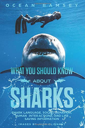 Cover of What You Should Know About Sharks: Shark Language, social behavior, human inter- actions, and life saving information