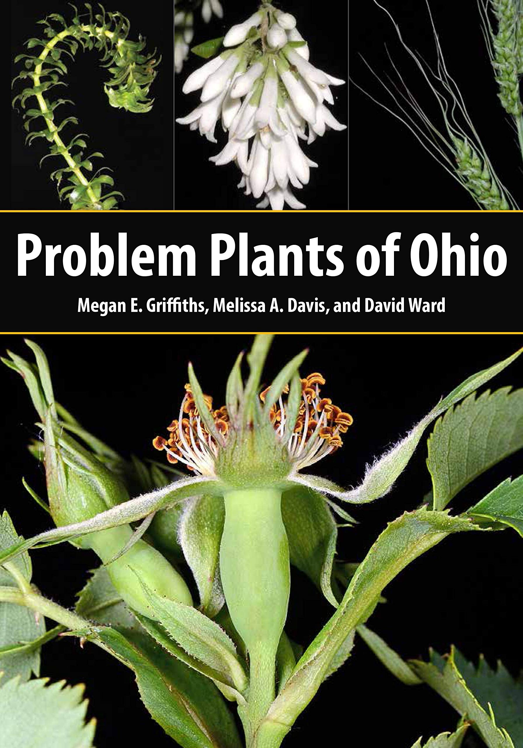 Cover of Problem Plants of Ohio