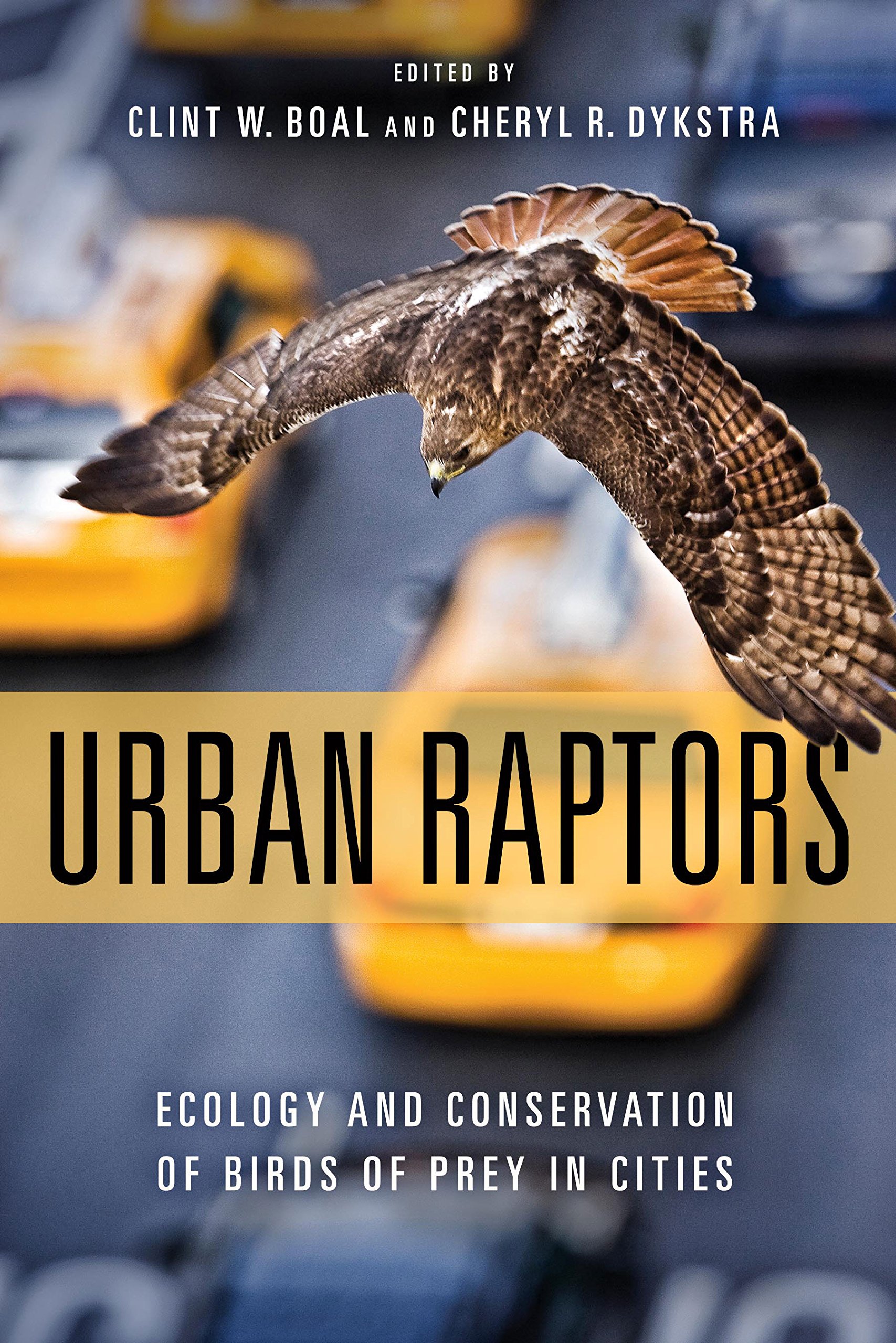 Cover of Urban Raptors: Ecology and Conservation of Birds of Prey in Cities