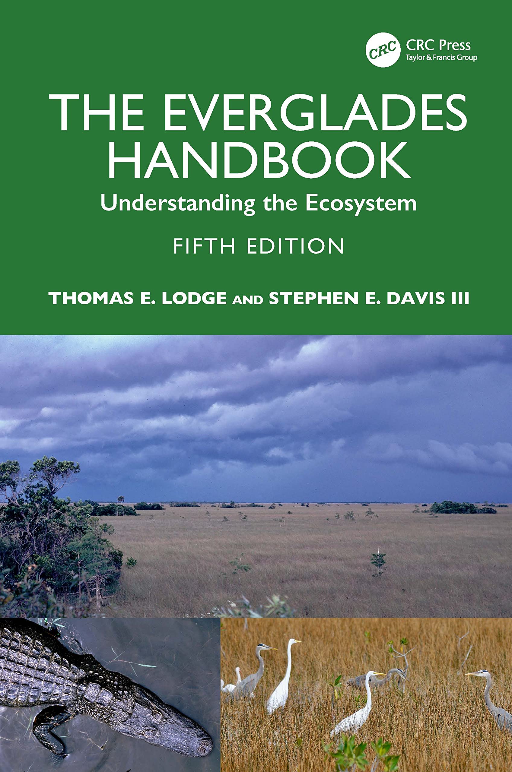 Cover of The Everglades Handbook: Understanding the Ecosystem