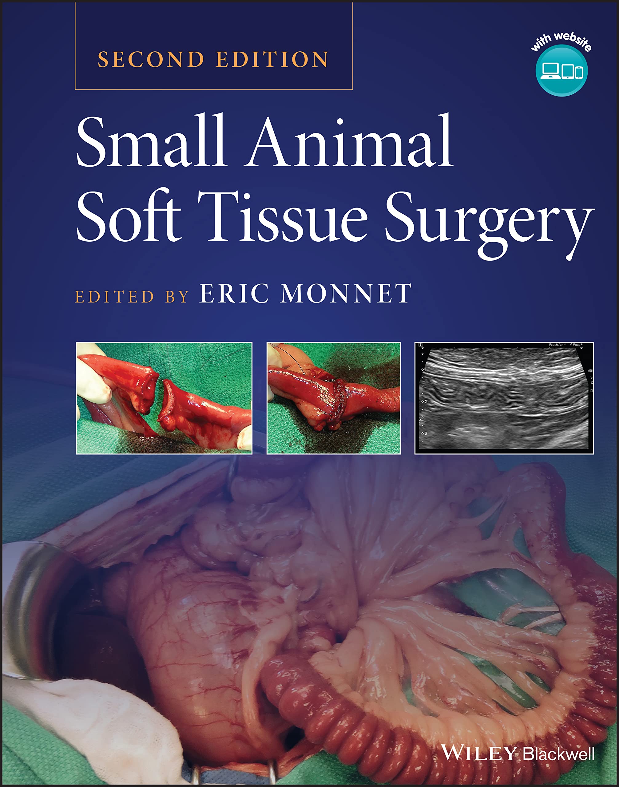 Cover of Small Animal Soft Tissue Surgery